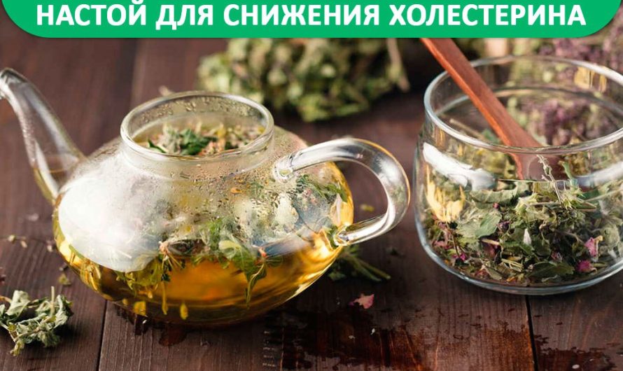 Травяной сбор для снижения холестерина