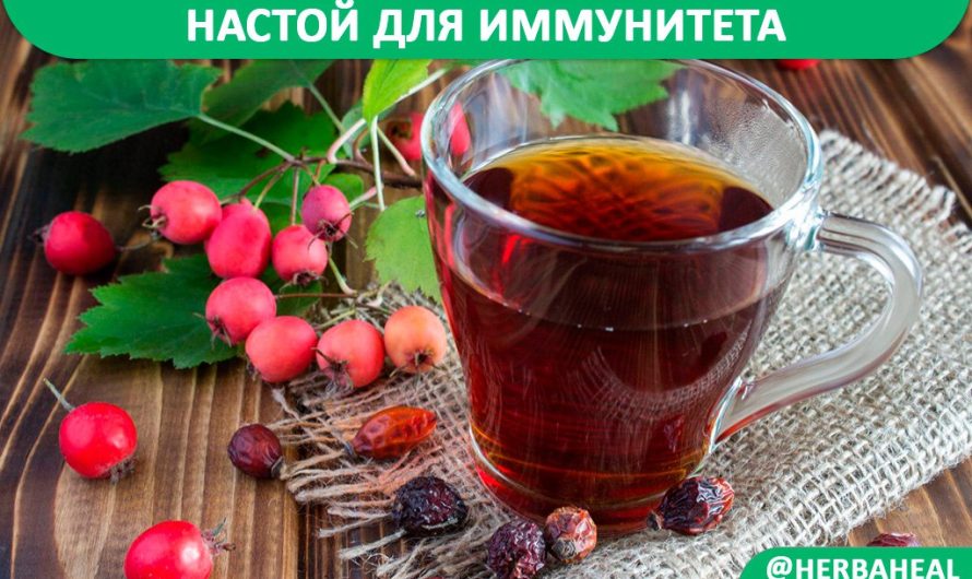 Настой для повышения иммунитета