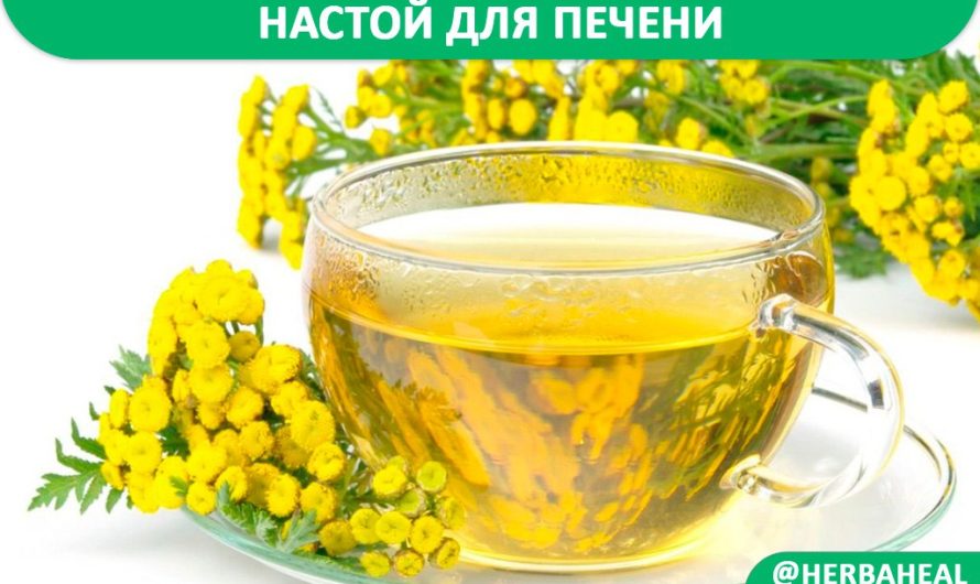 Настой для печени