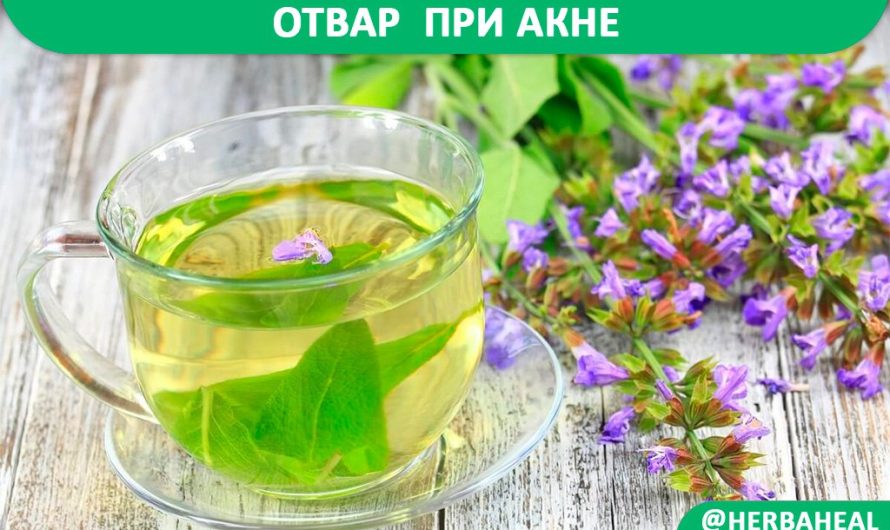 Отвар при акне