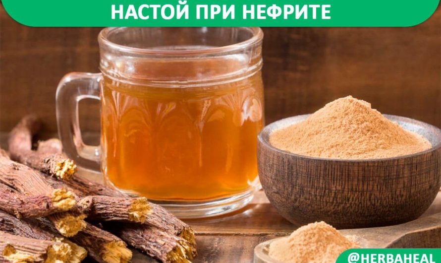 Настой при нефрите