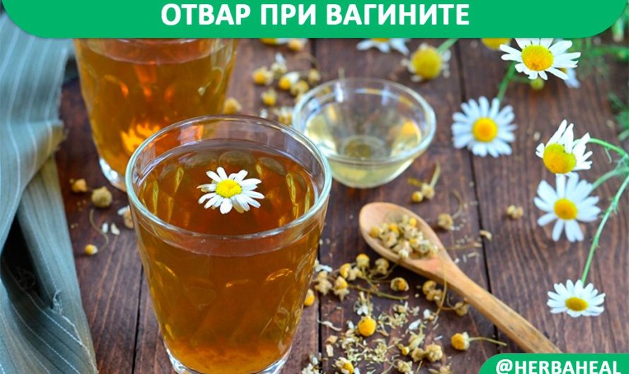 Отвар при вагините