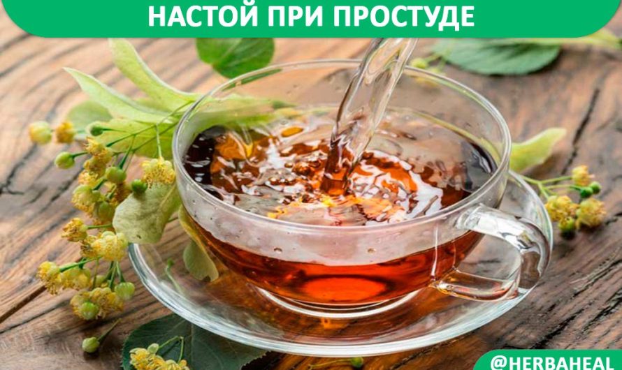 Настой при простуде